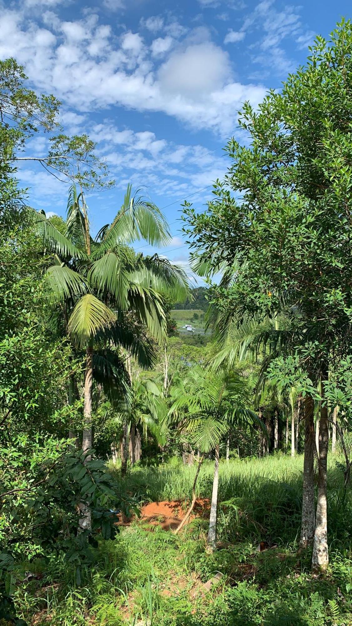 Pousada Vale Do Sol Pariquera-Acu Экстерьер фото